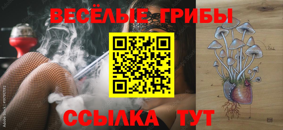 наркошоп  Вход с VPN  Кизилюрт  Галлюциногенные грибы мухоморы 